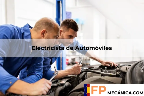 Asesor Técnico de Ventas 46 Electricista de Automóviles