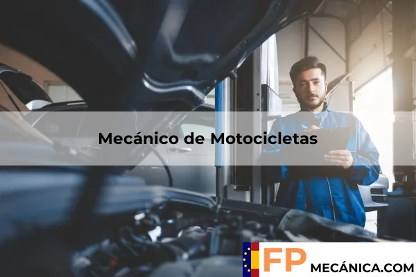 Asesor Técnico de Ventas 50 Mecánico de Motocicletas