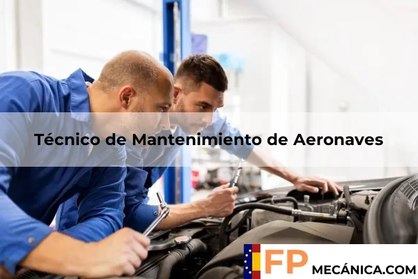Asesor Técnico de Ventas 52 Técnico de Mantenimiento de Aeronaves