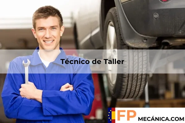 Asesor Técnico de Ventas 53 Técnico de Taller