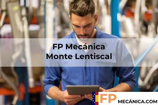 Visvique,visvique,Las Palmas,las-palmas,Islas Canarias,FP Mecánica,fpmecanica.es,fp-mecanica-en-visvique,¿Has pensado en cursar un CFGM Mecánica en Visvique?,"<p>En <strong>Visvique</strong>, encontrarás toda la <strong>información necesaria</strong> para realizar un <strong>Ciclo Formativo de Grado Medio</strong> (CFGM) en <strong>Mecánica</strong>. Este programa te proporcionará las habilidades y conocimientos esenciales para desarrollar una carrera en el ámbito de la <strong>mecánica industrial</strong>, permitiéndote acceder a diversas oportunidades laborales en un sector en constante evolución.</p>","<h2>¿Has pensado en cursar un CFGM Mecánica en Visvique?</h2><p>Si te interesa el mundo de la mecánica, cursar un <strong>CFGM Mecánica</strong> en Visvique puede ser una excelente opción. Existen diferentes <strong>centros de formación</strong> en la provincia donde puedes obtener tu titulación. Es fundamental investigar y elegir aquel que mejor se adapte a tus necesidades. Si necesitas ayuda o más información sobre el proceso, no dudes en <strong>contactarnos de forma gratuita</strong>. Uno de nuestros expertos estará encantado de asesorarte sin compromiso y guiarte en tu decisión.</p><h2>Realizar una Formación Profesional en Mecánica a distancia o online en Visvique</h2><p>La <strong>Formación Profesional en Mecánica</strong> ofrece diversas modalidades de estudio, incluyendo la opción a distancia y online. Estas modalidades son ideales si buscas flexibilidad en tu formación, permitiéndote compaginar tus estudios con otras responsabilidades. En la modalidad <strong>online</strong>, podrás acceder a materiales didácticos y participar en clases virtuales desde la comodidad de tu hogar. Para más información, puedes ver <a href="https://fpmecanica.es/presencial/">FP Mecánica modalidad presencial</a> o si te interesa la <strong>online</strong>, visita <a href="https://fpmecanica.es/online/">FP Mecánica modalidad online</a>. Así podrás decidir cuál se adapta mejor a tu estilo de vida.</p>","<h2>Requisitos para acceder a un CFGM Mecánica en la provincia de Visvique</h2><p>Para acceder a un <strong>CFGM Mecánica</strong> en la provincia de <strong>Visvique</strong>, es fundamental cumplir con ciertos requisitos. En primer lugar, es necesario contar con el título de <strong>Educación Secundaria Obligatoria (ESO)</strong> o un título equivalente. Además, se puede acceder si se tiene un <strong>título de Formación Profesional de Grado Básico</strong> o si se supera una prueba de acceso. También se valorará la experiencia laboral en el sector. Es recomendable tener una buena base en materias como <strong>matemáticas</strong> y <strong>física</strong>, ya que son fundamentales para el desarrollo del aprendizaje en esta área. Para más información sobre todos los requisitos, puedes consultar la sección de <a href="https://fpmecanica.es/requisitos/">requisitos para realizar un CFGM Mecánica</a>.</p><h2>¿Qué becas puedo tramitar mientras curso una Formación Profesional en Mecánica en la provincia de Visvique?</h2><p>Durante la realización de un <strong>CFGM Mecánica</strong> en la provincia de <strong>Visvique</strong>, existen diversas <strong>becas</strong> que se pueden solicitar. Una de las más relevantes es la <strong>Beca de Formación Profesional</strong>, destinada a ayudar a los estudiantes a cubrir parte de los gastos relacionados con la matrícula y el material escolar. También se pueden tramitar <strong>becas de movilidad</strong> para aquellos que deseen realizar prácticas en empresas fuera de su localidad. Asimismo, las <strong>becas para estudiantes con discapacidad</strong> son otra opción a considerar. Estas ayudas son cruciales para facilitar el acceso y permanencia en el sistema educativo. Para obtener más detalles sobre las becas disponibles, te recomendamos consultar la sección de <a href="https://fpmecanica.es/becas/">becas para la FP Mecánica</a>.</p>","<h2>¿Qué tipos de especializaciones hay en el Ciclo de FP en Mecanizado en Visvique?</h2><p>En la provincia de Visvique, el Ciclo Formativo de Grado Medio (CFGM) en Mecanizado ofrece diversas especializaciones, todas ellas enfocadas en la rama de la automoción. A continuación, se describen los cursos disponibles:</p><ul><li><strong>Técnico Auxiliar en Mecánica del Automóvil</strong>: Este curso tiene una duración de dos años y capacita al alumno para realizar el mantenimiento y reparación de vehículos. Las salidas profesionales incluyen talleres mecánicos y concesionarios.<br /> </li><li><strong>Técnico Auxiliar en Mecánica (Aeronaves)</strong>: Con una duración de dos años, este curso se centra en la reparación y mantenimiento de aeronaves. Los graduados pueden trabajar en empresas de aviación y mantenimiento de aeronaves.<br /> </li><li><strong>Técnico Auxiliar en Electricidad del Automóvil</strong>: Este curso, también de dos años, forma a los estudiantes en la instalación y reparación de sistemas eléctricos en vehículos. Las salidas laborales se encuentran en talleres de automóviles y empresas de reparación.<br /> </li><li><strong>Técnico Auxiliar Mecánico del Automóvil</strong>: Con una duración de dos años, esta especialización proporciona conocimientos sobre mecánica y sistemas de vehículos. Los graduados pueden encontrar empleo en talleres y empresas del sector automotriz.<br /> </li><li><strong>Técnico Auxiliar Mecánico y Electricista de Motocicletas</strong>: Este curso, que dura dos años, capacita a los alumnos para trabajar en el mantenimiento y reparación de motocicletas. Las oportunidades laborales están en talleres de motos y concesionarios.<br /> </li></ul><p>Si deseas saber más sobre estos cursos, encontrarás información en <a href="https://fpmecanica.es/titulacion/">Titulaciones en un CFGM Mecánica</a>.</p><h3>Futuro laboral tras finalizar un CFGM Mecánica en la provincia de Visvique</h3><p>Al finalizar un CFGM en Mecánica en Visvique, los graduados tienen diversas <strong>oportunidades laborales</strong>. Pueden trabajar en talleres mecánicos, concesionarios de automóviles, empresas de mantenimiento de aeronaves y motocicletas, así como en el sector del transporte. Además, el crecimiento del sector automotriz garantiza una demanda constante de profesionales cualificados. Para consultar más sobre las diferentes oportunidades laborales, te invitamos a visitar <a href="https://fpmecanica.es/empleo/">empleos que puedes realizar al acabar un CFGM Mecánica</a>.</p>","<h2>¿Cuál es el salario medio de un técnico en instalaciones mecánicas en la provincia de Visvique?</h2><p>El salario medio de un técnico en instalaciones mecánicas en la provincia de Visvique se sitúa en torno a los 25.000.00 € anuales. Los profesionales que han completado un ciclo formativo de grado medio en FP Mecánica suelen comenzar con un salario inicial de aproximadamente 20.000.00 €. Con la acumulación de experiencia y habilidades especializadas, este importe puede incrementar notablemente, alcanzando hasta 30.000.00 € o más en puestos de responsabilidad. Además, la evolución salarial está influenciada por la especialización en áreas como el mantenimiento industrial o la automatización, donde los técnicos pueden obtener remuneraciones más altas.</p><h2>¿Qué módulos incluye una Formación Profesional en Mecánica en la provincia de Visvique?</h2><p>La Formación Profesional en Mecánica en la provincia de Visvique comprende una serie de módulos diseñados para proporcionar un sólido conocimiento práctico y teórico. Durante el ciclo formativo de grado medio (CFGM) en Mecánica, los estudiantes aprenden sobre <strong>mantenimiento de maquinaria</strong>, <strong>montaje de instalaciones mecánicas</strong> y <strong>calidad en procesos de fabricación</strong>. Estos módulos permiten desarrollar habilidades en la interpretación de planos, el uso de herramientas manuales y máquinas-herramienta, así como en la resolución de problemas técnicos. Además, se fomenta el trabajo en equipo y la seguridad laboral, aspectos esenciales en el sector. Al finalizar el CFGM, los alumnos estarán capacitados para enfrentar los desafíos del mercado laboral y podrán optar por diversas salidas profesionales, desde el mantenimiento hasta la instalación de sistemas mecánicos en diferentes industrias.</p>" en Visvique 25 Monte Lentiscal,monte-lentiscal,Las Palmas,las-palmas,Islas Canarias,FP Mecánica,fpmecanica.es,fp-mecanica-en-monte-lentiscal,¿Estás interesado en estudiar un Ciclo Formativo de Grado Medio en Mecánica en Monte Lentiscal?,"<p>En <strong>Monte Lentiscal</strong>, podrás encontrar toda la información necesaria para realizar un <strong>Ciclo Formativo de Grado Medio</strong> en <strong>Mecánica</strong>. Este programa educativo te permitirá adquirir las habilidades y conocimientos esenciales para desenvolverte en el sector de la mecánica, abriendo así múltiples oportunidades laborales. Infórmate sobre las materias, salidas profesionales y requisitos para acceder a este ciclo formativo que te preparará para el futuro.</p>","<h2>¿Estás interesado en estudiar un Ciclo Formativo de Grado Medio en Mecánica en Monte Lentiscal?</h2><p>Si deseas realizar un <strong>Ciclo Formativo de Grado Medio en Mecánica</strong> en Monte Lentiscal, es esencial que consideres algunos consejos. Existen diferentes <strong>centros educativos</strong> donde puedes formarte, cada uno con características y enfoques distintos. Es recomendable investigar sobre las opciones disponibles, así como las opiniones de otros estudiantes. Si necesitas ayuda o más información, no dudes en <strong>contactarnos de forma gratuita</strong>; uno de nuestros expertos estará encantado de asesorarte sin coste alguno. No pierdas la oportunidad de dar un paso importante hacia tu futuro profesional.</p><h2>Realizar una FP Mecánica a distancia o online en Monte Lentiscal</h2><p>En Monte Lentiscal, puedes optar por realizar la <strong>FP Mecánica</strong> a distancia o en modalidad online, lo que te ofrece mayor flexibilidad en tus estudios. Estas modalidades permiten que los estudiantes gestionen su tiempo de manera más eficaz, adaptándose a sus responsabilidades personales y laborales. La formación a distancia incluye recursos como vídeos, foros de discusión y tutorías virtuales, mientras que la modalidad online proporciona un entorno de aprendizaje interactivo. Para más información, puedes consultar nuestra sección sobre <a href="https://fpmecanica.es/presencial/">FP Mecánica modalidad presencial</a> o, si te interesa la modalidad online, visita <a href="https://fpmecanica.es/online/">FP Mecánica modalidad online</a>.</p>","<h2>¿Qué capacidades adquirirás en una FP Mecánica en la provincia de Monte Lentiscal?</h2><p>Realizar un Ciclo Formativo de Grado Medio en <strong>Mecánica</strong> en la provincia de Monte Lentiscal te permitirá adquirir una serie de capacidades fundamentales en el ámbito técnico. Durante el curso, aprenderás a interpretar planos y esquemas, así como a utilizar herramientas y maquinaria específica. Además, desarrollarás habilidades en el <strong>montaje</strong> y mantenimiento de componentes mecánicos, así como en la resolución de problemas técnicos. También se fomenta el trabajo en equipo y la <strong>seguridad laboral</strong>, aspectos cruciales en el entorno industrial. En definitiva, este ciclo formativo te proporcionará los conocimientos necesarios para afrontar con éxito los retos del sector mecánico, convirtiéndote en un profesional altamente cualificado.</p><h2>¿Cuál es el sueldo mensual de un técnico en ensamblaje mecánico en la provincia de Monte Lentiscal?</h2><p>El sueldo mensual de un técnico en <strong>ensamblaje mecánico</strong> en la provincia de Monte Lentiscal suele oscilar entre 1.500.00 € y 2.200.00 €. Con la experiencia, la remuneración puede aumentar considerablemente, alcanzando cifras superiores a los 2.500.00 € en puestos de mayor responsabilidad. La evolución salarial dependerá de la especialización del técnico y del sector en el que trabaje. Por ejemplo, aquellos que se dediquen a áreas como el <strong>mantenimiento industrial</strong> o la automatización pueden esperar ingresos más elevados. En resumen, la FP Mecánica ofrece un futuro prometedor y con diversas oportunidades de crecimiento profesional.</p>","<h2>¿Qué tipos de especializaciones hay en el Ciclo de FP en Mecanizado en Monte Lentiscal?</h2><p>En la provincia de Monte Lentiscal, el Ciclo Formativo de Grado Medio en Mecánica ofrece diversas especializaciones que permiten a los estudiantes adquirir conocimientos técnicos y habilidades prácticas en el sector. A continuación, se detallan los cursos disponibles:</p><ul><li><strong>Técnico Auxiliar en Mecánica del Automóvil</strong>: Este curso se centra en el mantenimiento y reparación de vehículos. Su duración es de dos años y las salidas profesionales incluyen talleres mecánicos y concesionarios.</li><li><strong>Técnico Auxiliar en Mecánica (Aeronaves)</strong>: Orientado a la mecánica de aeronaves, este curso también tiene una duración de dos años, ofreciendo oportunidades en empresas de aviación y mantenimiento de aeronaves.</li><li><strong>Técnico Auxiliar en Electricidad del Automóvil</strong>: Enfocado en los sistemas eléctricos de los automóviles, este programa prepara a los estudiantes para trabajar en el diagnóstico y reparación de sistemas eléctricos. Su duración es de dos años.</li><li><strong>Técnico Auxiliar Mecánico del Automóvil</strong>: Este curso ofrece formación en mecánica general y se imparte en dos años, con salidas laborales en talleres y empresas del sector automotriz.</li><li><strong>Técnico Auxiliar Mecánico y Electricista de Motocicletas</strong>: Especializado en motocicletas, este curso tiene una duración de dos años y permite a los estudiantes trabajar en talleres especializados en motos.</li></ul><p>Para más información sobre estos cursos, visita <a href="https://fpmecanica.es/titulacion/">Titulaciones en un Ciclo Formativo de Grado Medio en Mecánica</a>.</p><h3>Opciones de carrera tras obtener un Ciclo Formativo de Grado Medio en Mecánica en la provincia de Monte Lentiscal</h3><p>Al finalizar un Ciclo Formativo de Grado Medio en Mecánica, los graduados en Monte Lentiscal tienen diversas <strong>oportunidades laborales</strong>. Pueden trabajar en talleres de reparación de automóviles, empresas de mantenimiento de aeronaves, concesionarios y talleres de motocicletas. La demanda de profesionales cualificados en el sector mecánico sigue en aumento, lo que garantiza buenas perspectivas de empleo. Para consultar las diferentes oportunidades, visita <a href="https://fpmecanica.es/empleo/">empleos que puedes realizar al acabar un Ciclo Formativo de Grado Medio en Mecánica</a>.</p>","<h2>Requisitos para acceder a un Ciclo Formativo de Grado Medio en Mecánica en la provincia de Monte Lentiscal</h2><p>Para acceder a un <strong>Ciclo Formativo de Grado Medio en Mecánica</strong> en la provincia de Monte Lentiscal, es necesario cumplir con ciertos <strong>requisitos académicos</strong>. Entre ellos se encuentra contar con el <strong>título de Educación Secundaria Obligatoria (ESO)</strong> o su equivalente. También pueden acceder quienes posean un <strong>título de Formación Profesional Básica</strong> relacionado. Es fundamental tener un interés y habilidades en el ámbito técnico y mecánico, así como una disposición para el aprendizaje práctico. Además, es aconsejable tener conocimientos básicos de matemáticas y física, que son esenciales en esta área. Para obtener información detallada sobre todos los requisitos, se recomienda consultar el enlace a los <a href="https://fpmecanica.es/requisitos/">requisitos para realizar un Ciclo Formativo de Grado Medio en Mecánica</a>.</p><h2>¿Qué becas puedo conseguir al realizar una FP Mecánica en la provincia de Monte Lentiscal?</h2><p>Los estudiantes que deciden realizar un <strong>Ciclo Formativo de Grado Medio en Mecánica</strong> en la provincia de Monte Lentiscal pueden acceder a diversas <strong>becas</strong> que facilitan su formación. Entre las opciones disponibles se encuentran las <strong>becas del Ministerio de Educación</strong>, que están dirigidas a estudiantes con necesidades económicas. También existen becas específicas ofrecidas por las <strong>comunidades autónomas</strong> que pueden ayudar a cubrir gastos de matrícula y material. Adicionalmente, algunas entidades privadas y fundaciones ofrecen ayudas para fomentar la formación en el ámbito mecánico. Es crucial que los interesados consulten toda la información sobre las becas disponibles para el <strong>FP Mecánica en la provincia de Monte Lentiscal</strong>, accediendo al enlace de <a href="https://fpmecanica.es/becas/">becas para la FP Mecánica</a>.</p>" en Monte Lentiscal